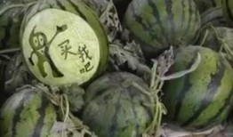 山东郓城大瓜爆料视频,揭秘背后惊人真相